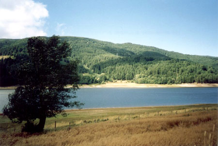 Lorien from the east side of Anduin